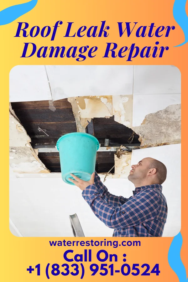 Roof Leak Water Damage Repair in El Rancho, WY